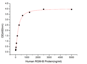 GX00006 Human RGM-B At