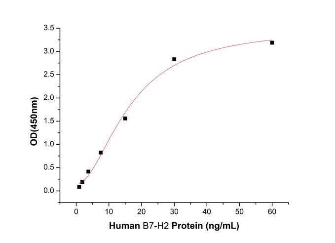 GX00049 Human B7-H2 At