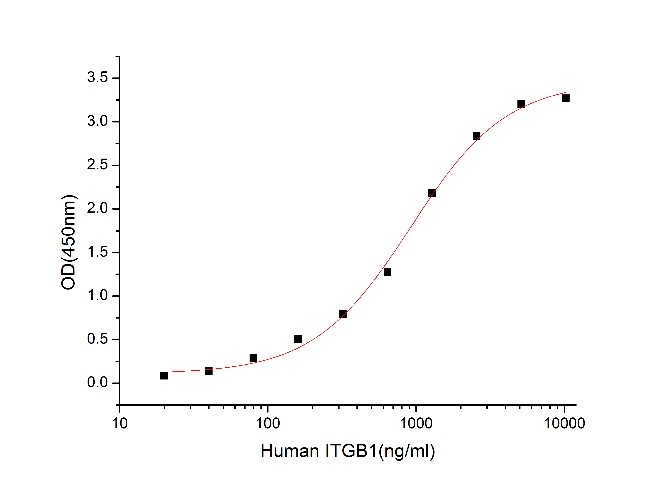 GX00131 Human CD98 At