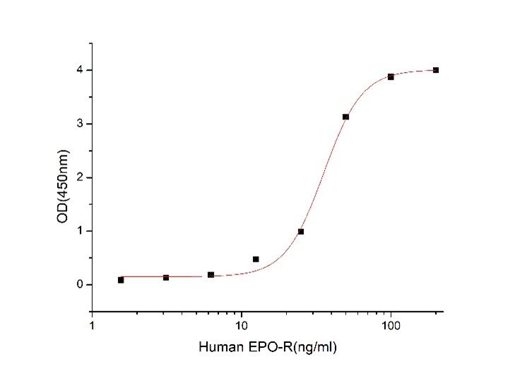 GX00213 Human EPO-R At