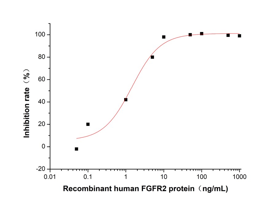 GX00231 Human FGFR2 At