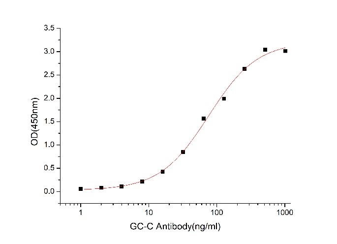 GX00247 Human GC-C At