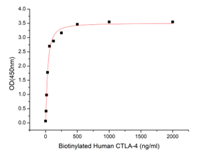 GX00285 Human CD80 At