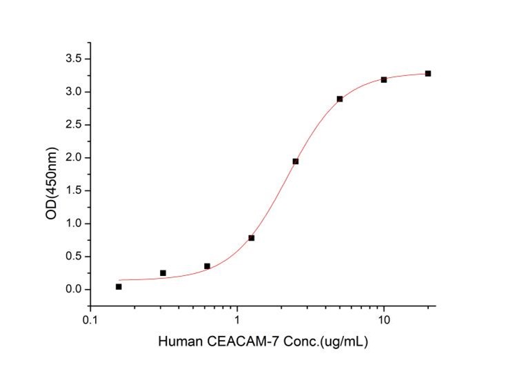 GX00298 Human CEACAM3 At