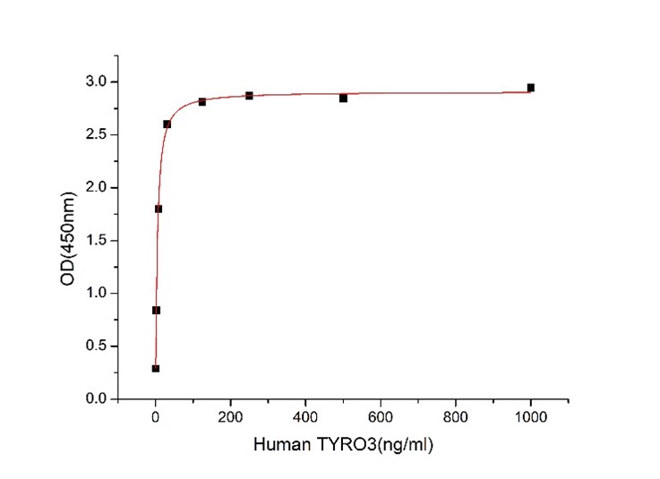 GX00385 Human TYRO3 At