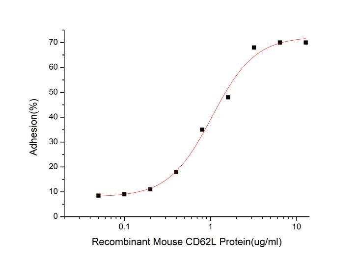 GX00446 Mouse CD62L At