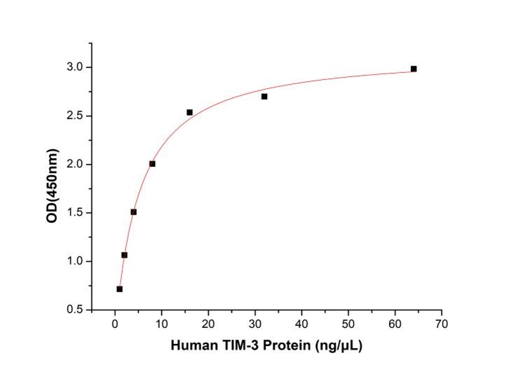 GX00526 Human TIM-3 At