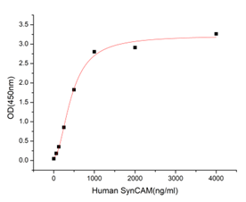 GX00563 Human SynCAM At