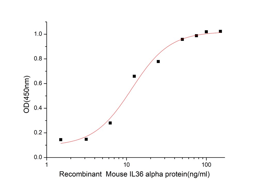 GX00598 Mouse IL36 alpha IL-1F6 At