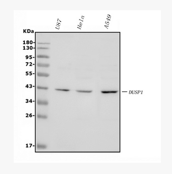 79755cd8-b187-4024-a9c0-84373d10461b