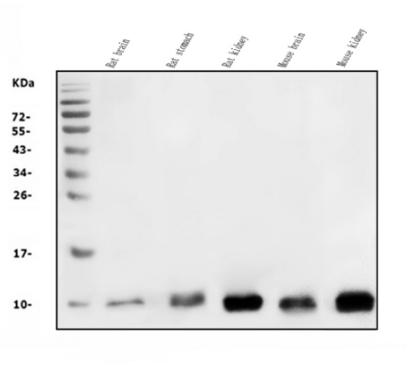 2f0c74bb-c90b-45f5-82c4-97d3d2c1904d