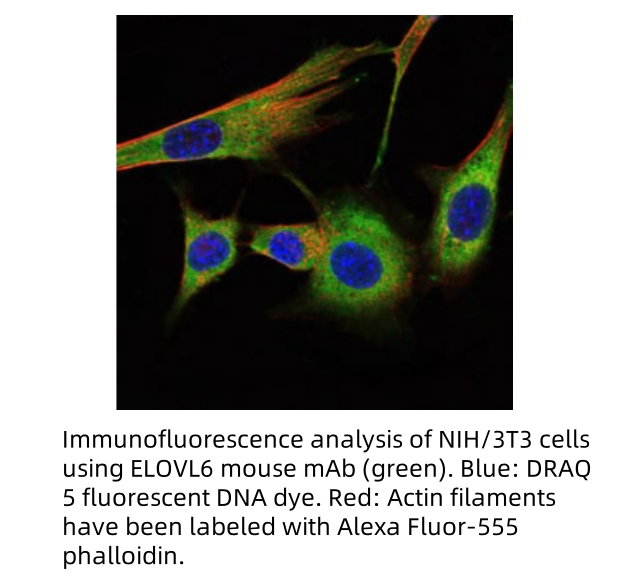 c80bcdb0253e095c5c2a73d757871822_720