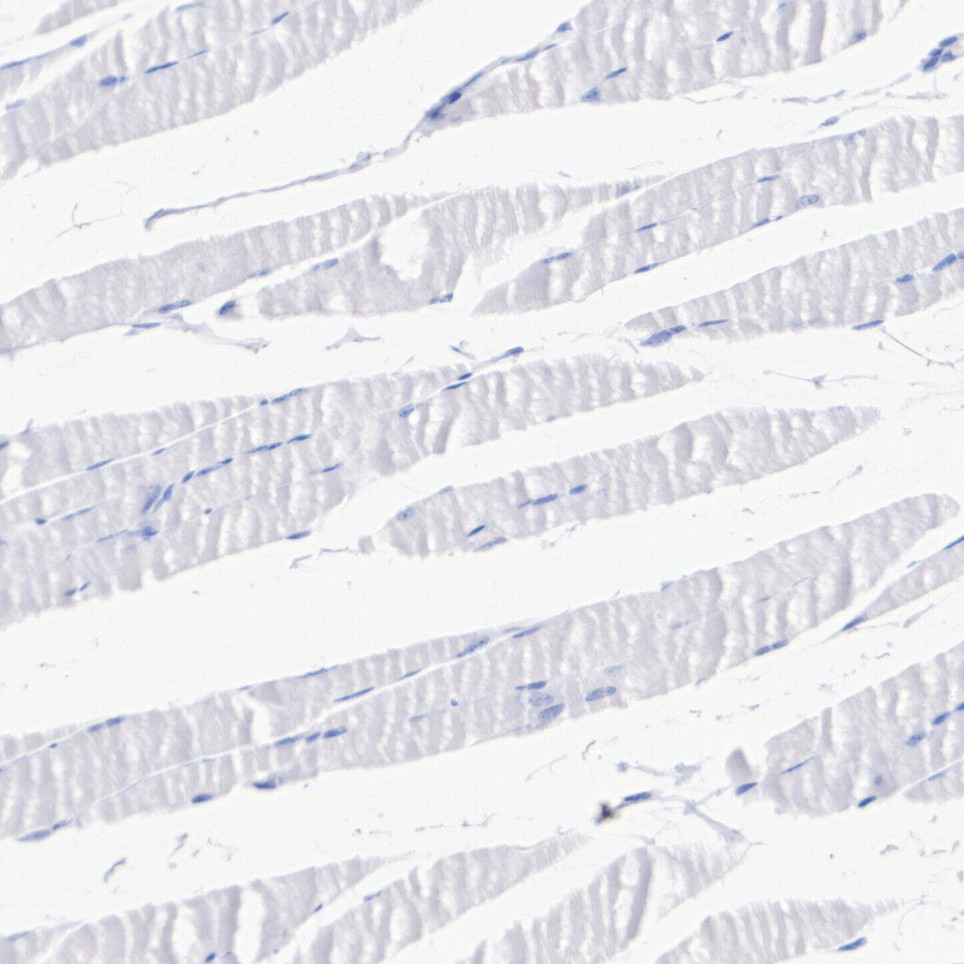 51e5ec13-58a8-4c5e-b786-9b1b40b44684