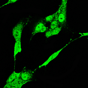 c9b22d883857b9669718011d4a6a4aa3_4ab26f32aa40db6aeb08a00b8e4e5772